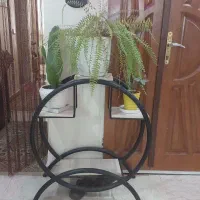 فروش استند گل