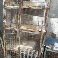 قفس|لوازم جانبی حیوانات|بیرجند, |دیوار