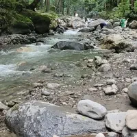 سیم کارت رند رشت دائمی ۲۰ سال خاموش صفر