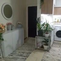 جاکفشی کاملا سالم