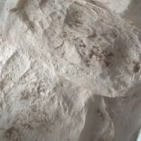 خروس|حیوانات مزرعه|ایلخچی, |دیوار