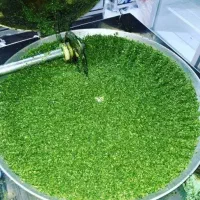 سبزی قرمه و کوکو و آش