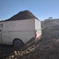 کود پوسیده|گل و گیاه طبیعی|هشتگرد, سیف آباد|دیوار