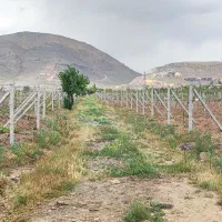 دونفر کارگر یا نیروی کار جهت تولید پایه فنس بتنی.|استخدام معماری، عمران و ساختمانی|اراک, |دیوار