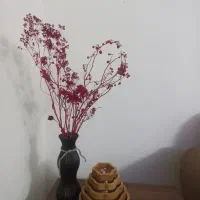یک خانم جهت انجام کار های منزل