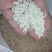 برنج پاکستانی|خوردنی و آشامیدنی|کرمانشاه, |دیوار