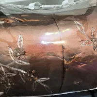 روتختی ساتن مخمل روبان دوزی برجسته نو نو