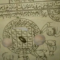 مهره کلکسیونی و اصلی|کلکسیون و سرگرمی|گنبد کاووس, |دیوار