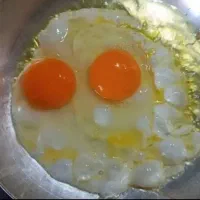 تخم مرغ رسمی،محلی کیفیت بی نظیر