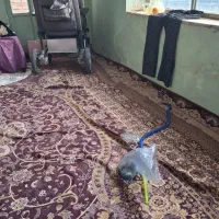 تخت خواب چوبی