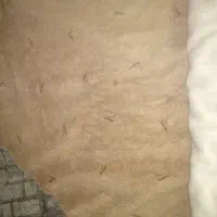 موکت و در|موکت|سمنان, |دیوار