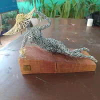 انجام سفارش انواع مجسمه سیمی+ آموزش|مجسمه، تندیس، ماکت|شیراز, اصلاح‌نژاد|دیوار