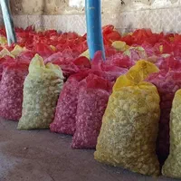 سیر فروشی درجه یک در تور    برای بذری