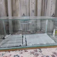 آکواریوم|ماهی|مرودشت, ژیان|دیوار