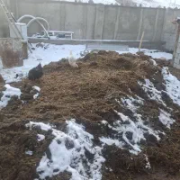 پهن گوسفند از دامداری