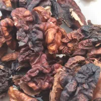 مغز‌پر‌چرب‌وخوشمزه‌ومقوی‌خوانسار|خوردنی و آشامیدنی|خوانسار, |دیوار