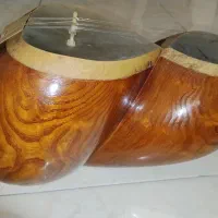 تار‌حرفه ای