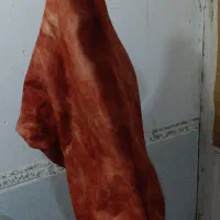 نی انبان|سازهای بادی|برازجان, |دیوار