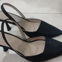 کیف کفش مجلسی