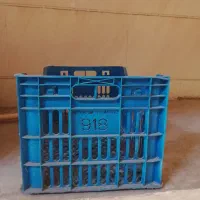 دبه 20لیتری|ظروف نگهدارنده، پلاستیکی، یک‌بارمصرف|کرج, باغستان|دیوار