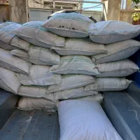 کود|خدمات باغبانی و درختکاری|خزل, |دیوار