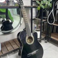 گیتار پیکاب دار