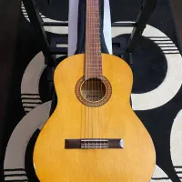 دوتا گیتار prince به همراه کاور