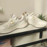 کفش زنانه اکو اصل