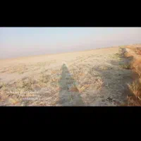 اهواز