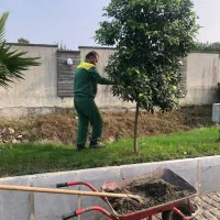 مسئول منابع انسانی