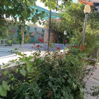 نیازمند هم خانه