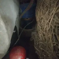با سلام و احترام