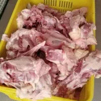 فروش اسکلت ، قلم و ... مرغ