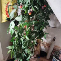 درخت مصنوعی