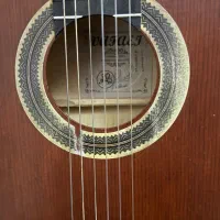 گیتار|گیتار، بیس، امپلیفایر|ری, فیروزآبادی|دیوار