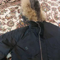 کاپشن خلبانی امریکایی|لباس|ساری, |دیوار