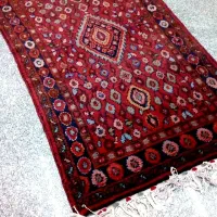 قالی نهاوند و قشقایی آنتیک|فرش|قم, باغ کرباسی|دیوار