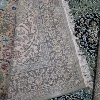 فرش ۶ متری نگین مشهد|فرش|مبارکه, |دیوار