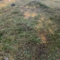 علف زنی و علف تراشی
