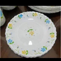 دهها مدل آرکوپال امارات