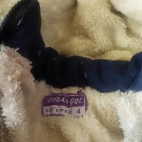 پالتو و کاپشن|لباس|ساوه, |دیوار