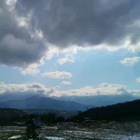 اجاره روزانه کلبه جنگلی سرای گلشن در لفور|اجارهٔ کوتاه‌مدت ویلا و باغ|آلاشت, |دیوار