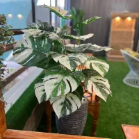 فروش خانه دوبلکس فین بزرگ|فروش خانه و ویلا|کاشان, حسن آباد|دیوار