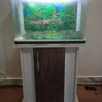 آکواریوم مای هیرا