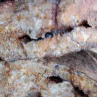 بازیافت فلزات گرانبها|خدمات پیشه و مهارت|کامیاران, |دیوار