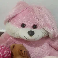 کیف مدارس و عروسک و گیتار|گیتار، بیس، امپلیفایر|بندر انزلی, جفرود پایین|دیوار