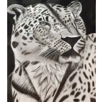 نقاشی سیاه قلم( یوز پلنگ )