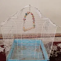 قفس عروس هلندی