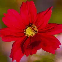 یک واحد تازه شروع به کار