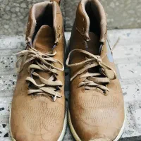 کفش|کیف، کفش، کمربند|کامیاران, |دیوار